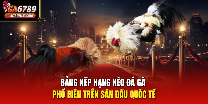 Bảng xếp hạng kèo Đá Gà phổ biến trên sàn đấu quốc tế