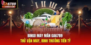 Bingo May Mắn
