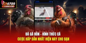 Đá Gà Đòn