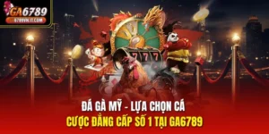 Đá gà Mỹ