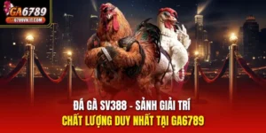 Đá gà SV388