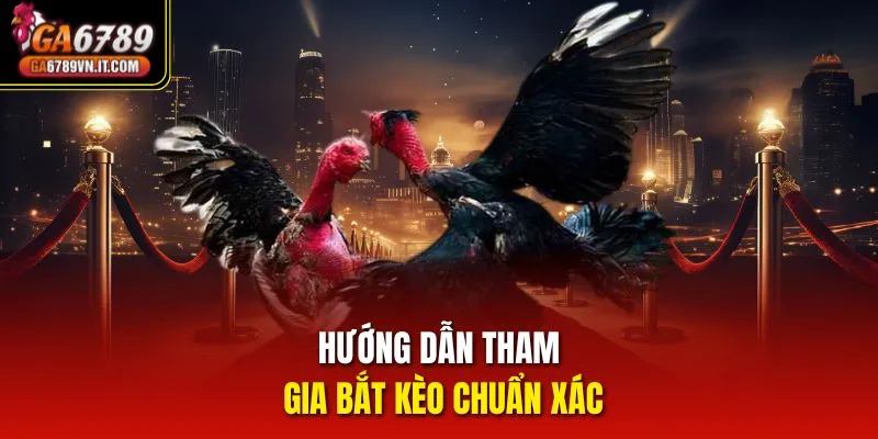 Hướng dẫn tham gia bắt kèo chuẩn xác